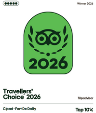 TripAdvisor Award